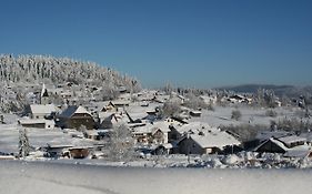 Pension Philippsreut Zum Pfenniggeiger